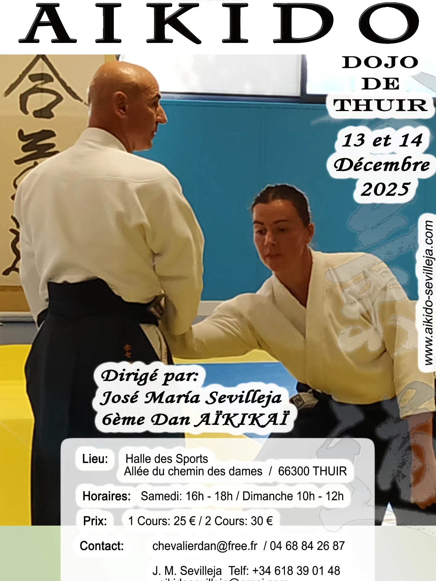 Stage Aikido Gaston Nicolessi Octobre 2025 THUIR