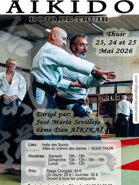 Stage Aikido Gaston Nicolessi Octobre 2025 THUIR